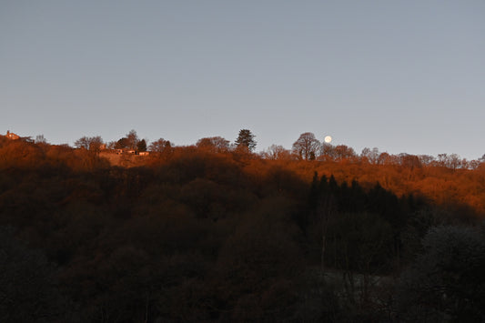 The darkest depths moon and a frosty morning