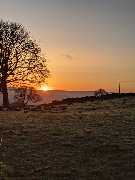 Sunrise walk