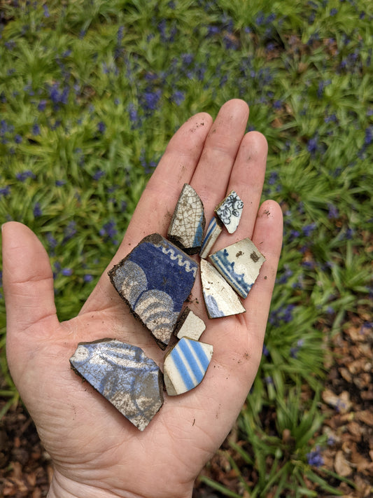 Blue in Brearley Woods