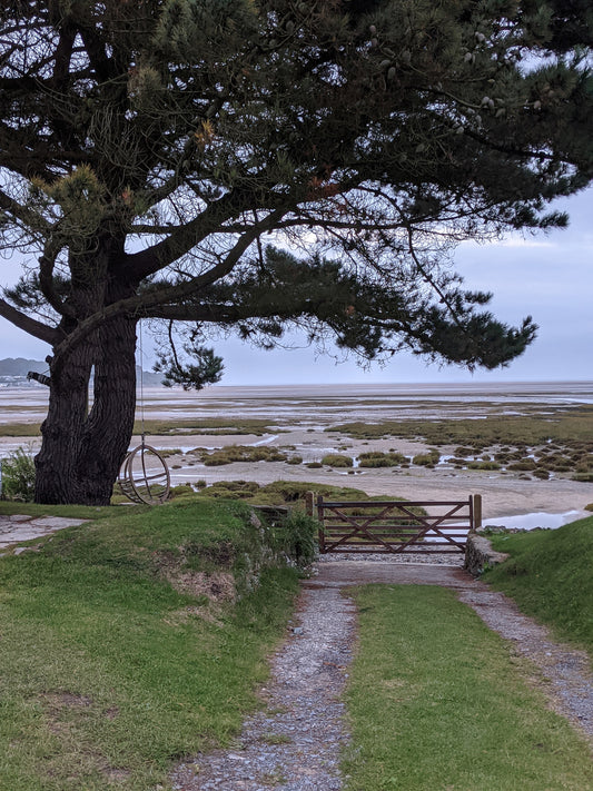 Peace and pondering at the salt marsh