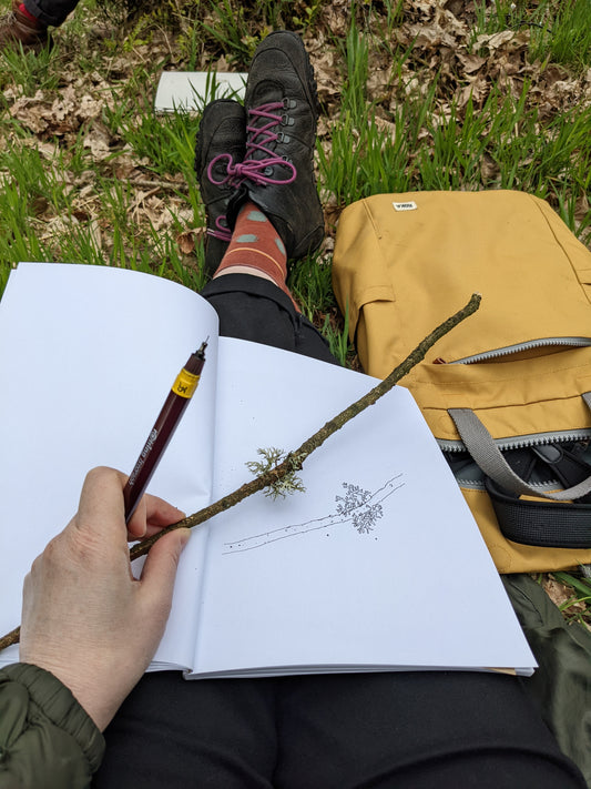 May day sketching
