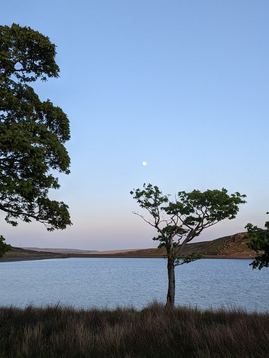 A May moon