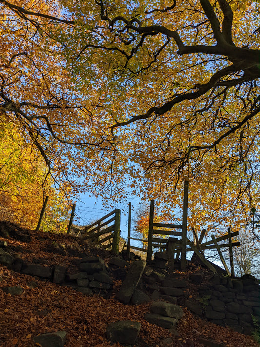 Mytholmroyd to Hebden Bridge in the autumn sun