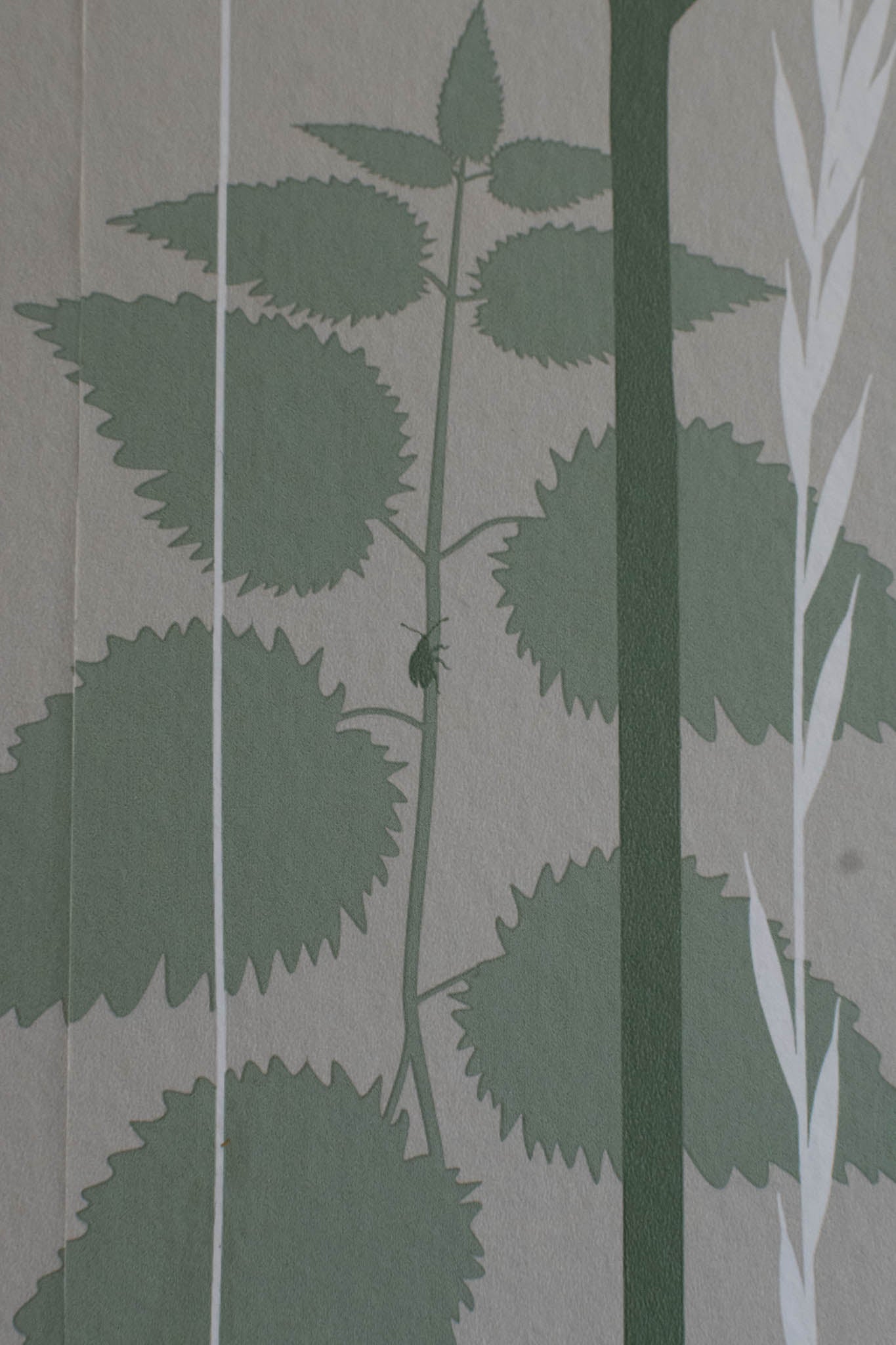 Wild Edge wallpaper in Nettle