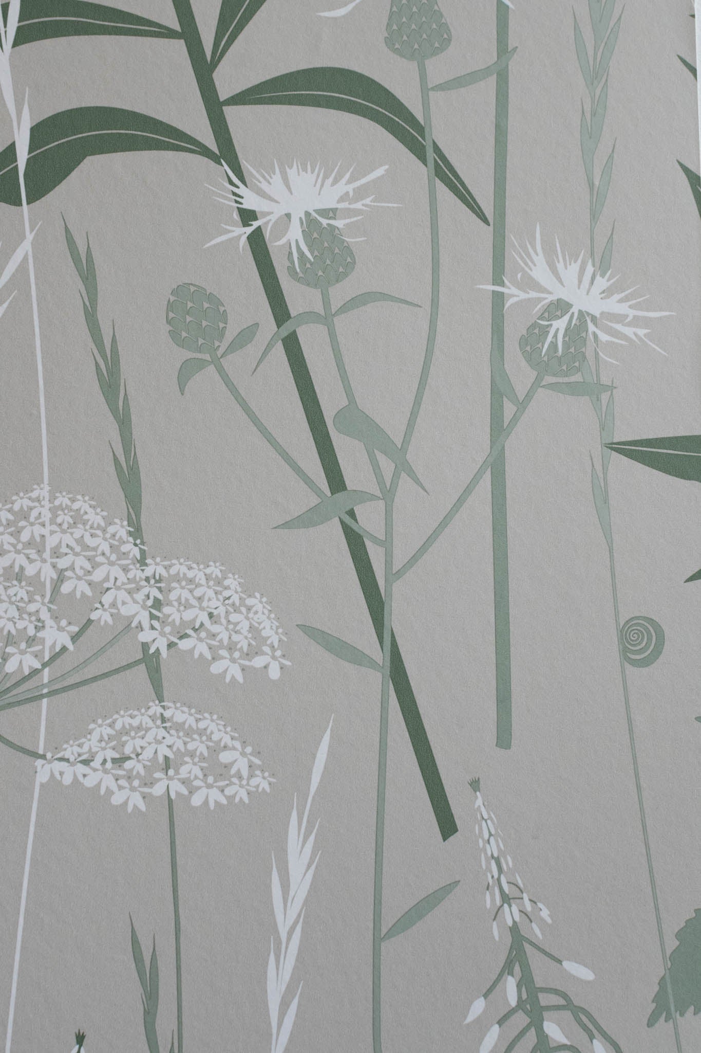 Wild Edge wallpaper in Nettle