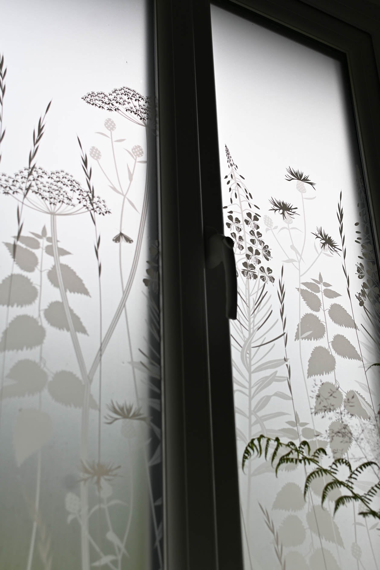 Wild Edge window film