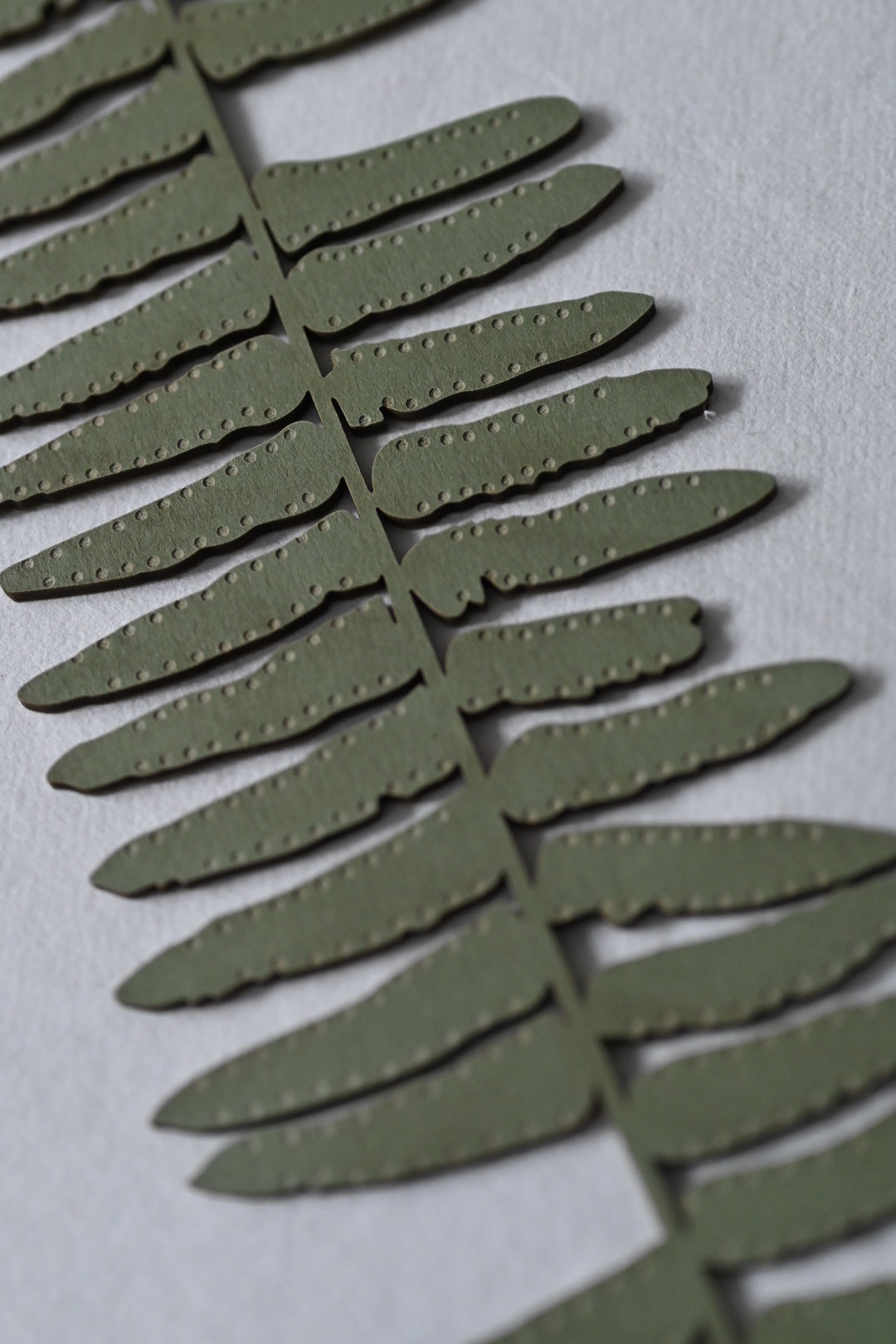 Hanging Fern