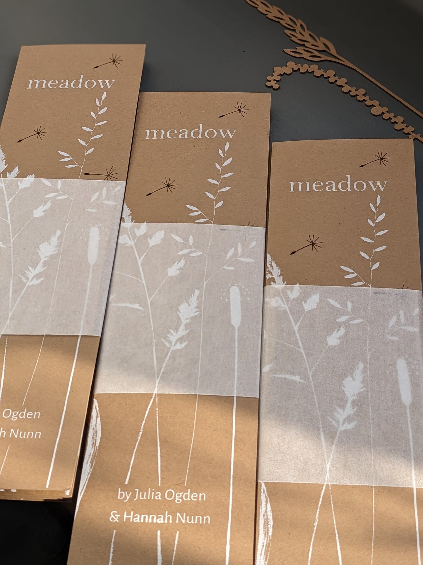 Meadow concertina book