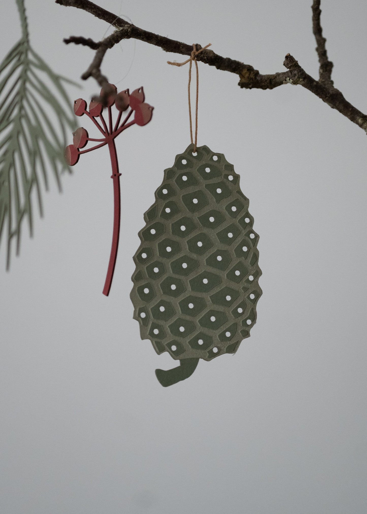 Fir cone
