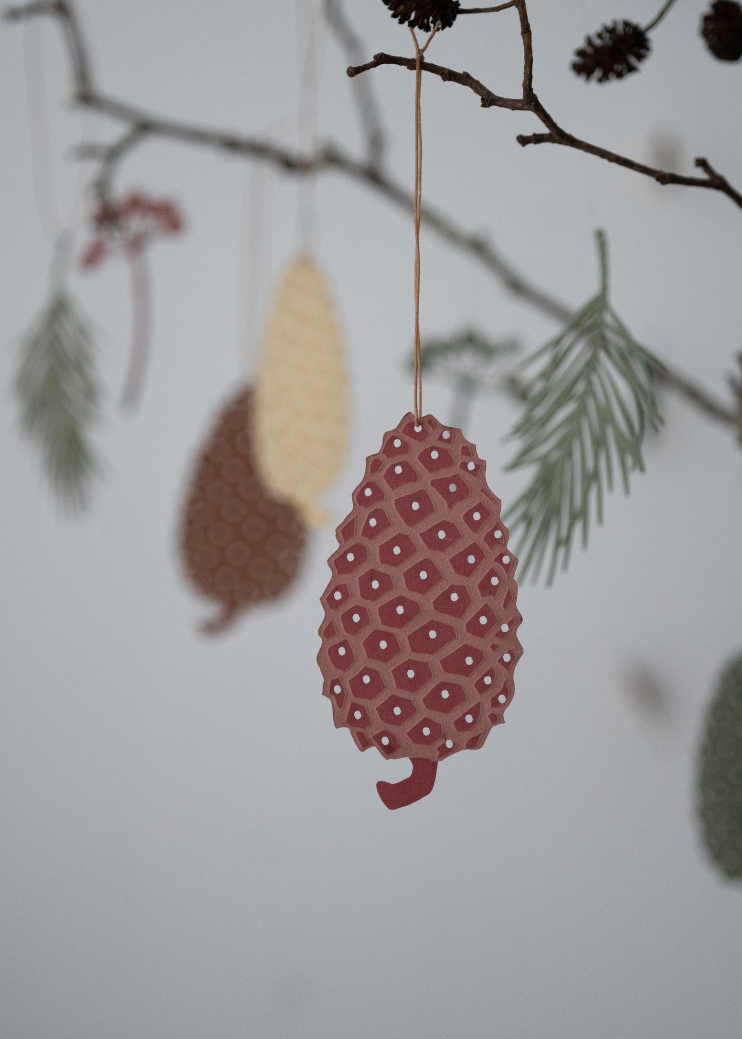Fir cone