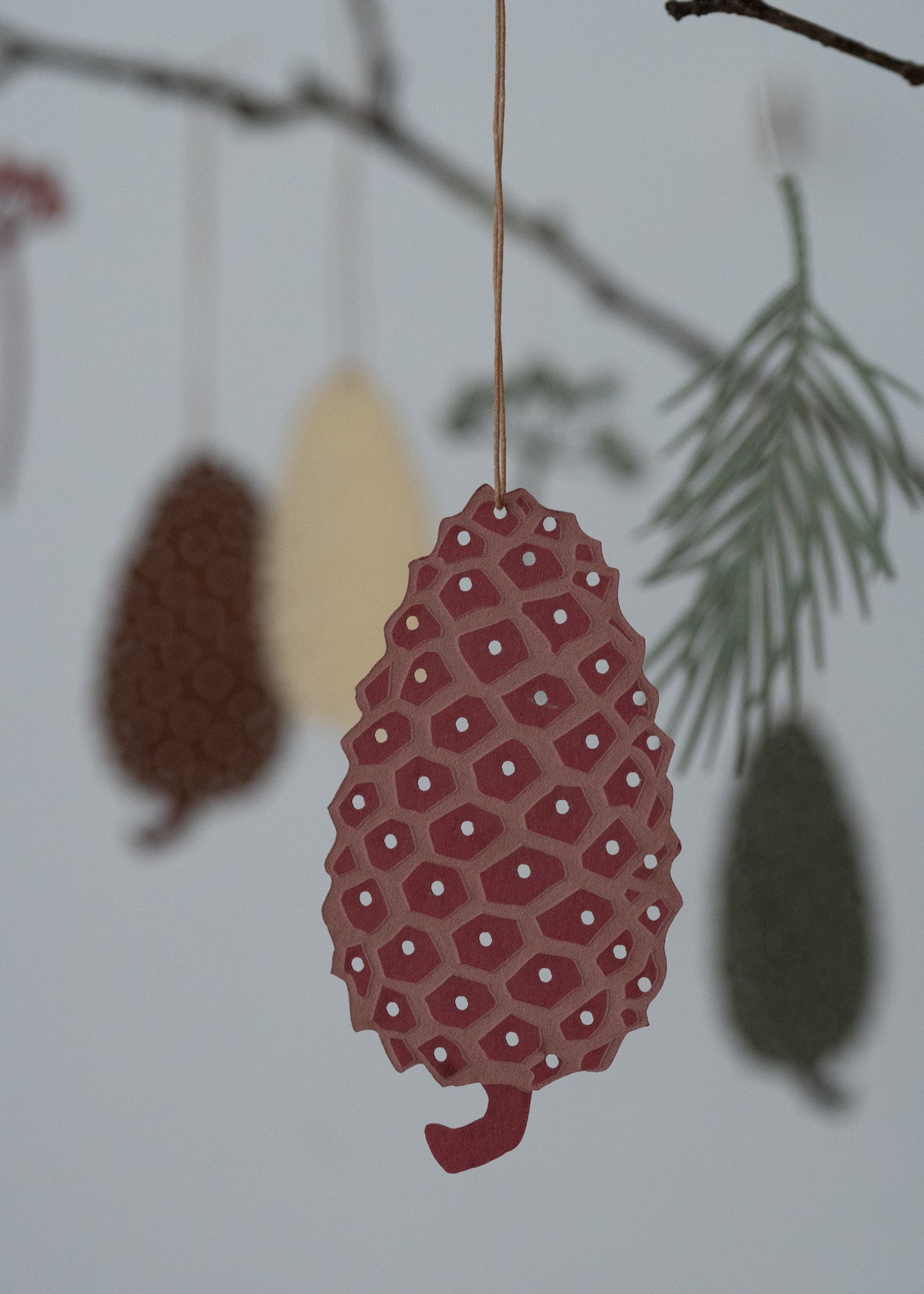 Fir cone