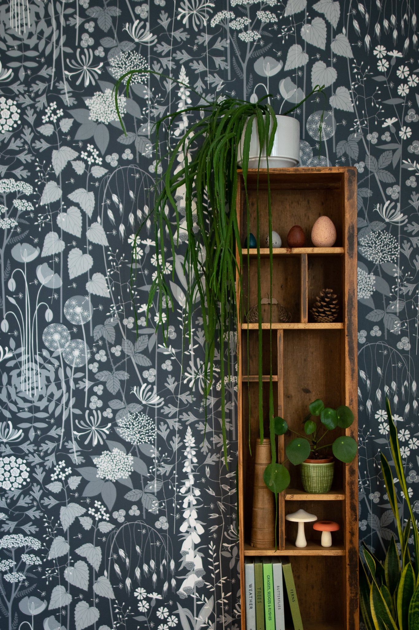 Hedgerow wallpaper in Nocturne