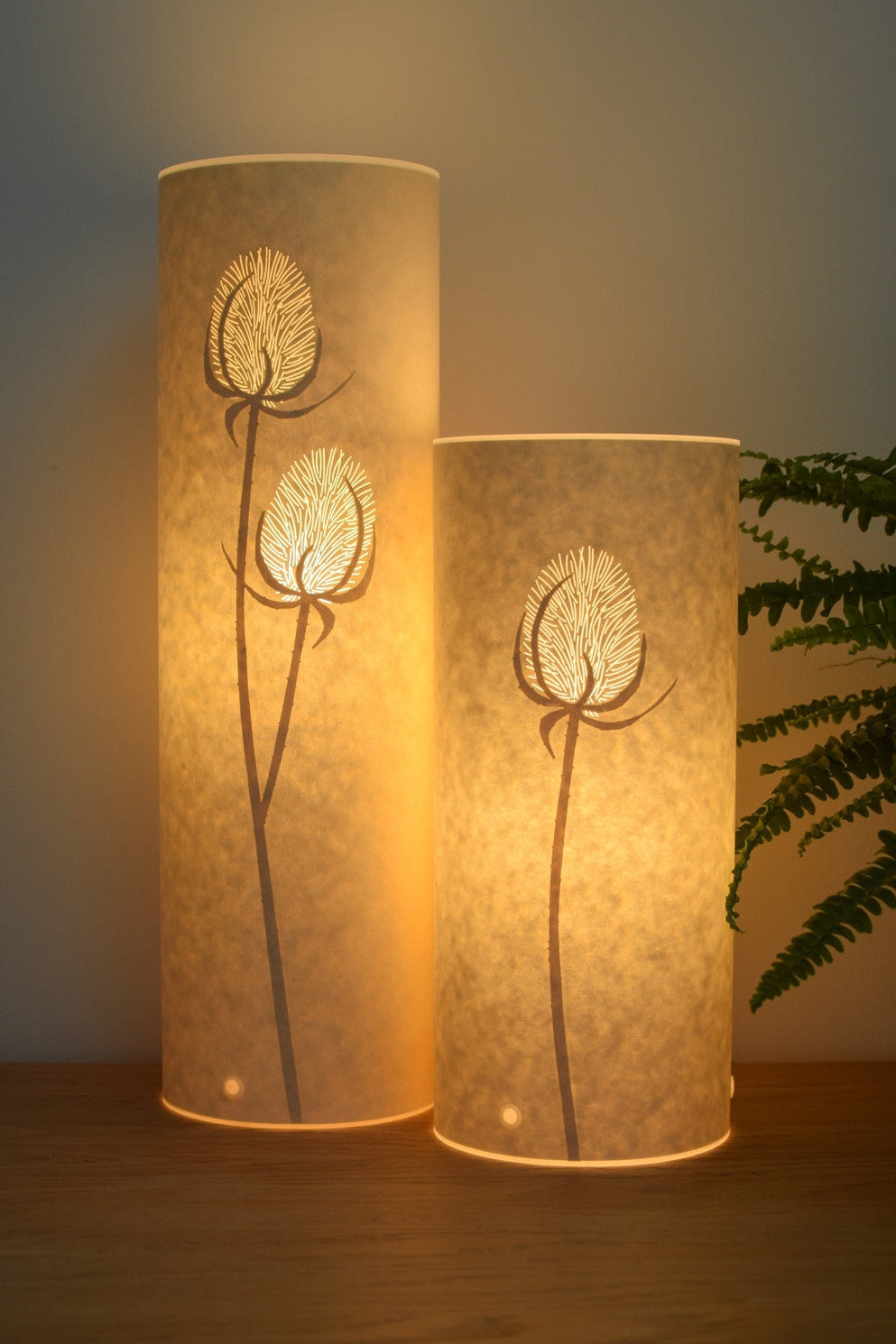 Cylindrical Teasel Table Lamp