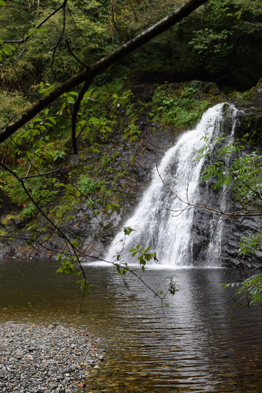 Coed Felenrhyd & Rhaeadr Ddu