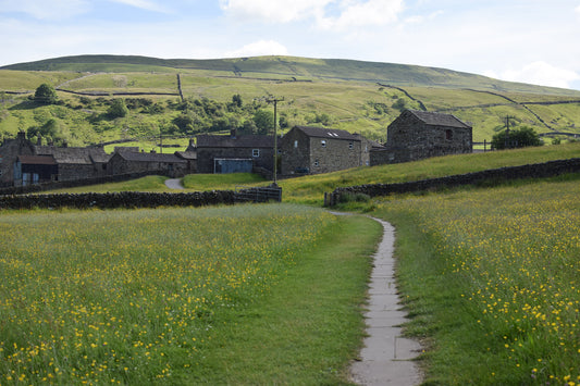 The Mukker Meadows