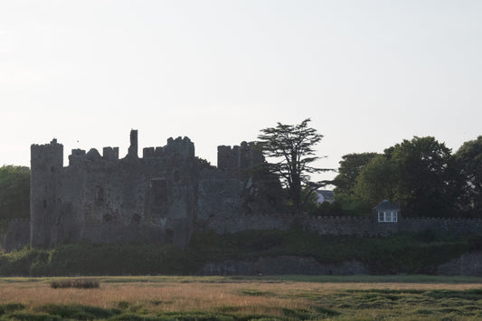 'C' is for castle and curlews and cockleshells