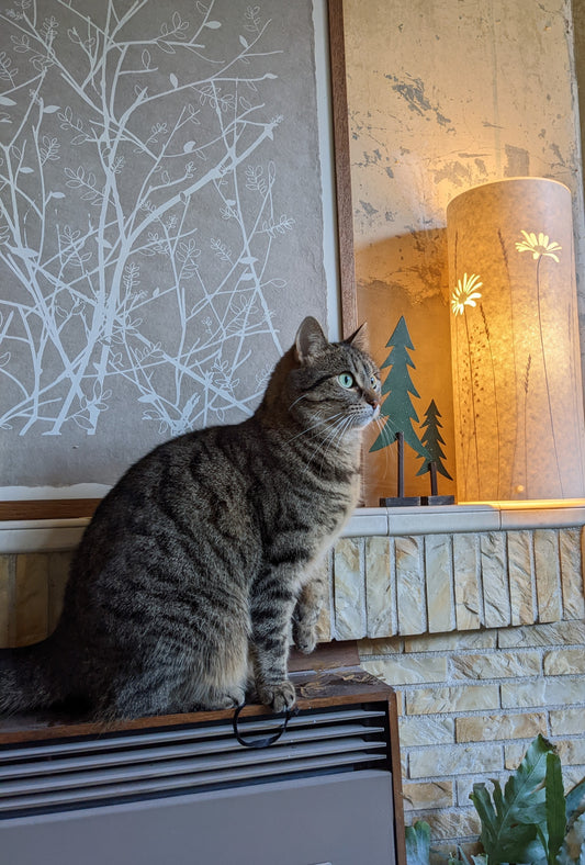 Home, hibernation and healing