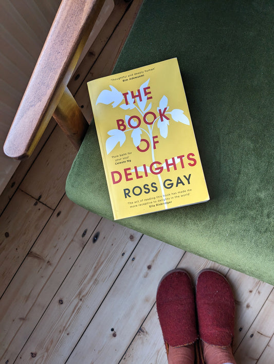 Morphine & The Book of Delights