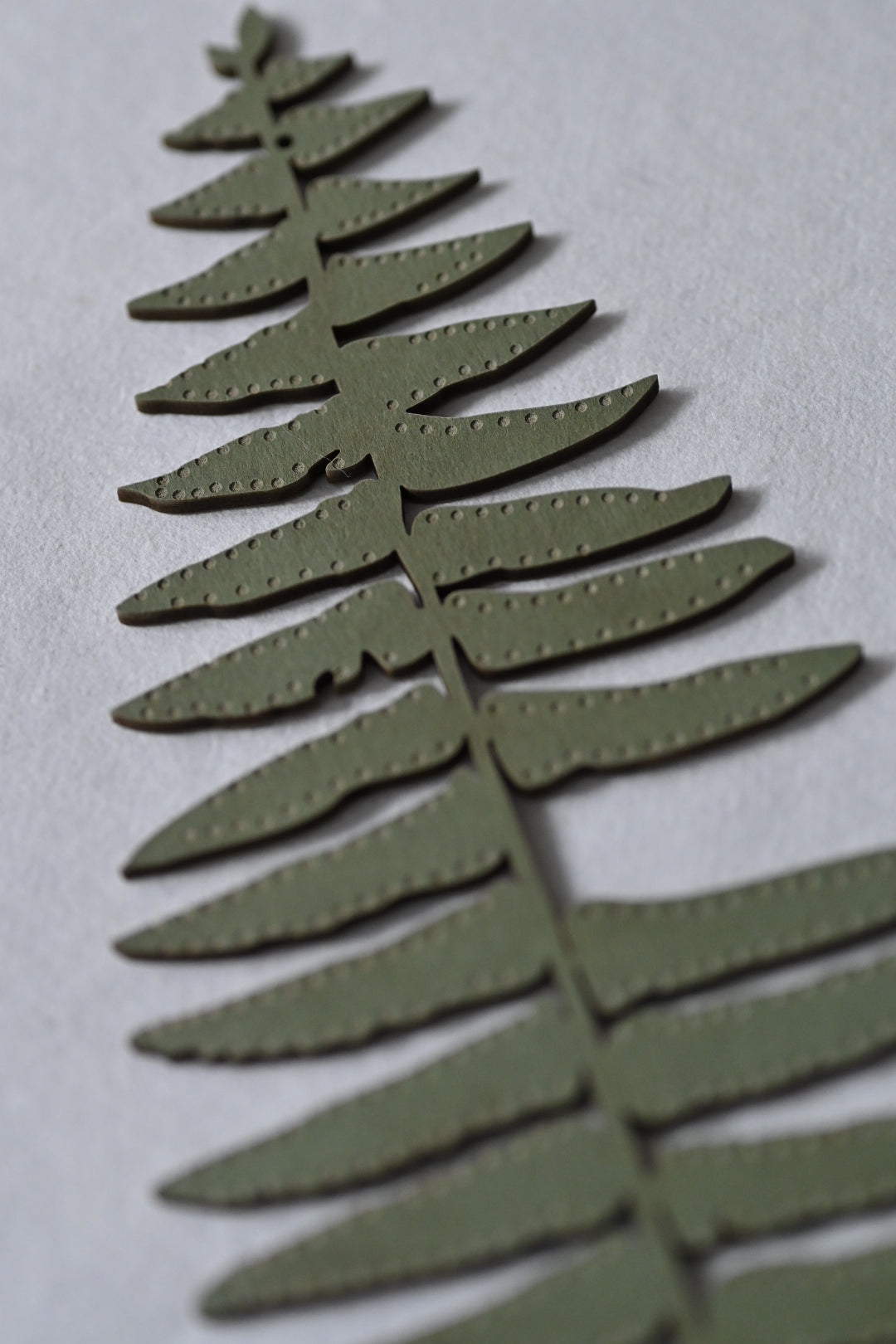 Hanging Fern
