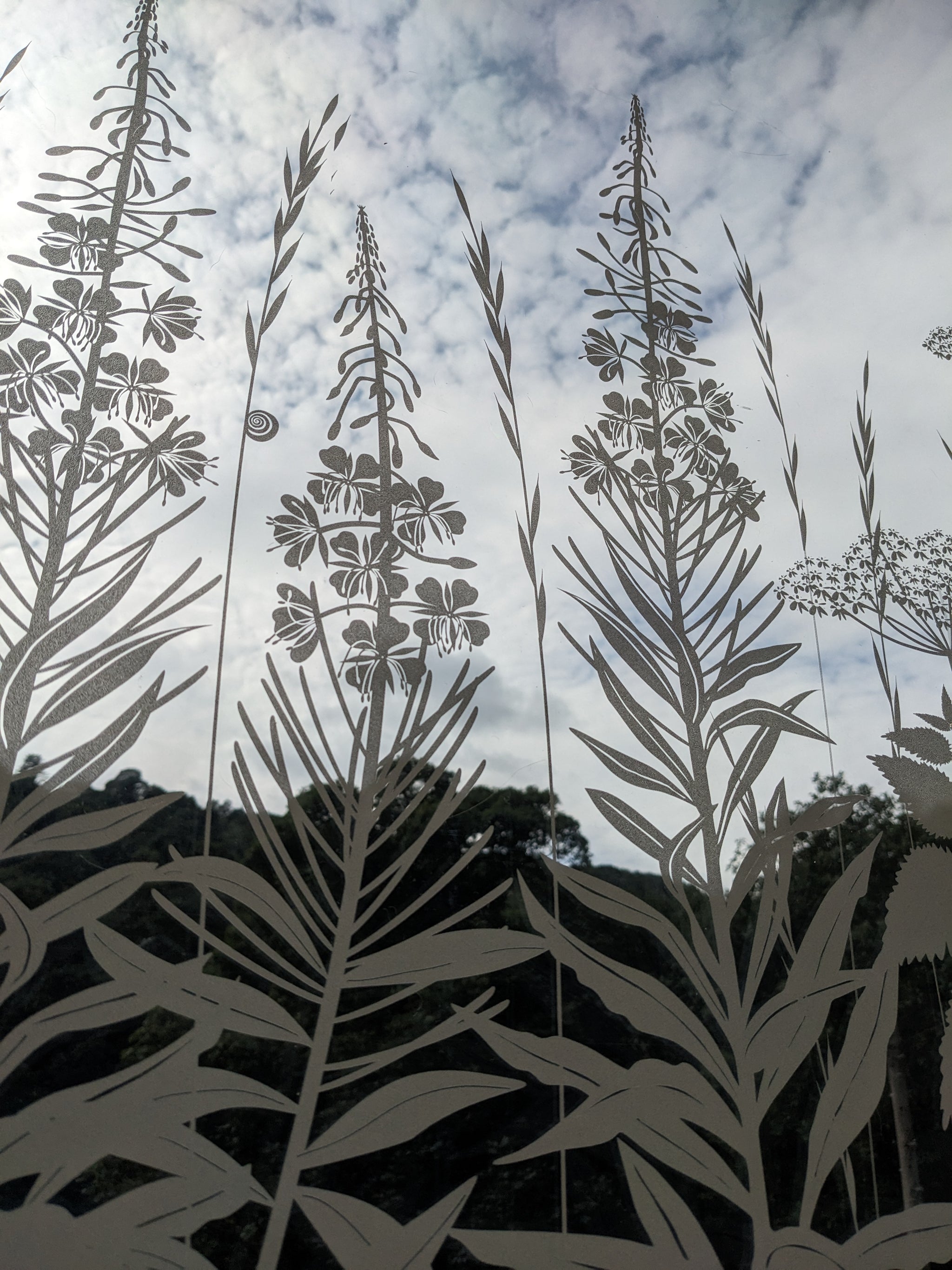Wild Edge window film – Hannah Nunn
