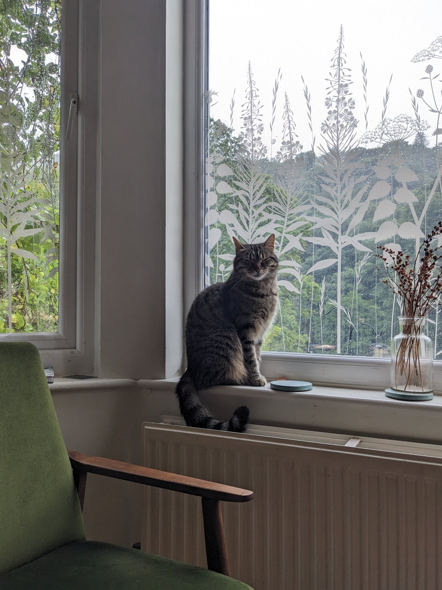 Wild Edge window film – Hannah Nunn