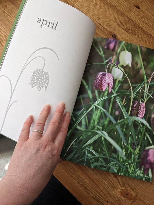 Something I have noticed No.3