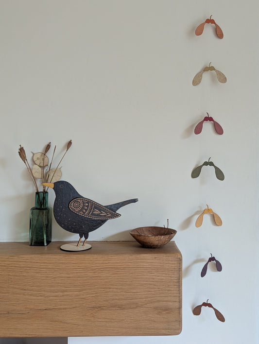 A set of sycamore seeds