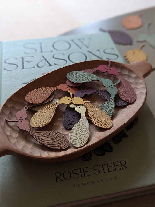 A set of sycamore seeds