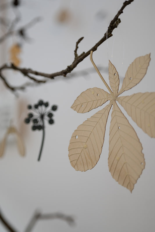 A single horse chestnut leaf