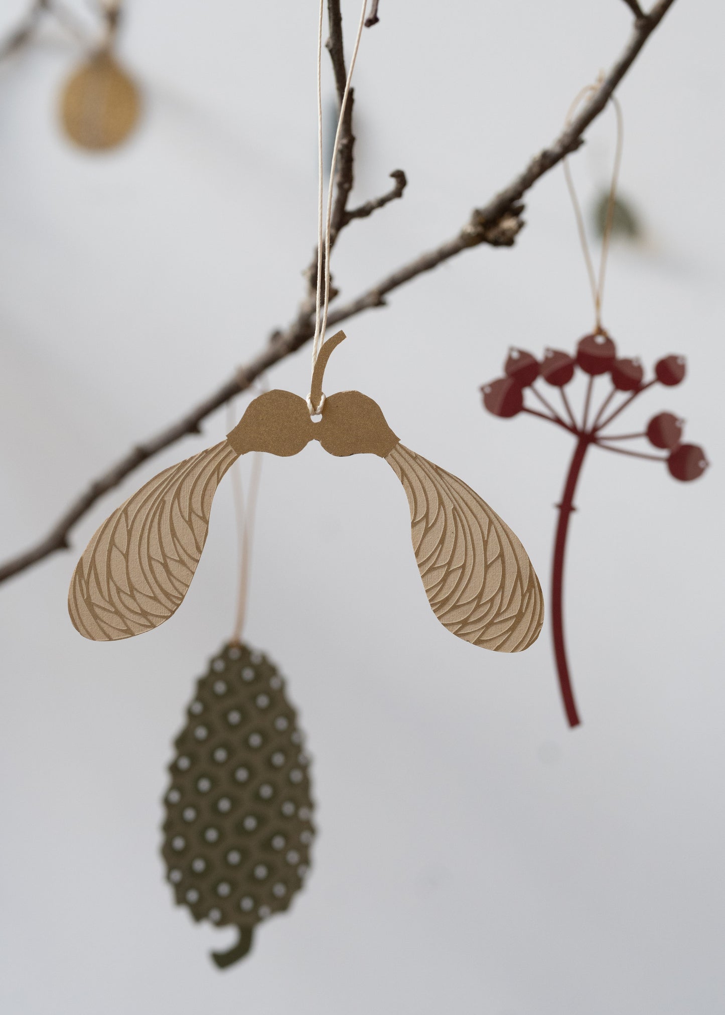 Sycamore Seed decoration