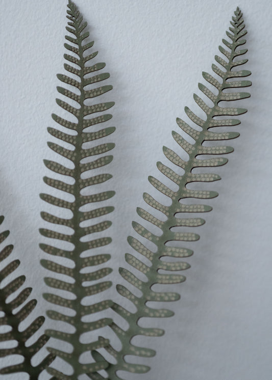 pick 'n' mix fern frond