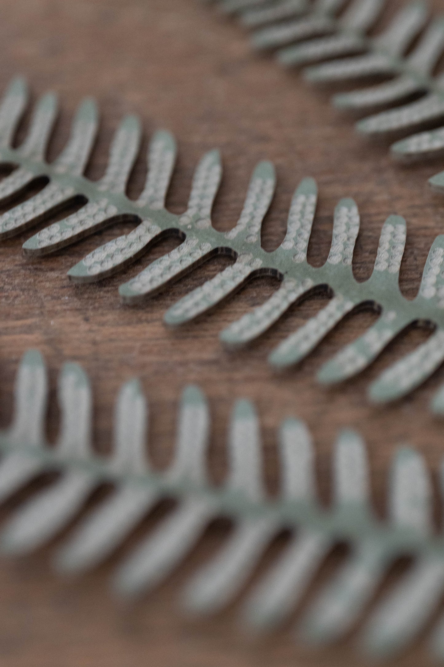 pick 'n' mix fern frond