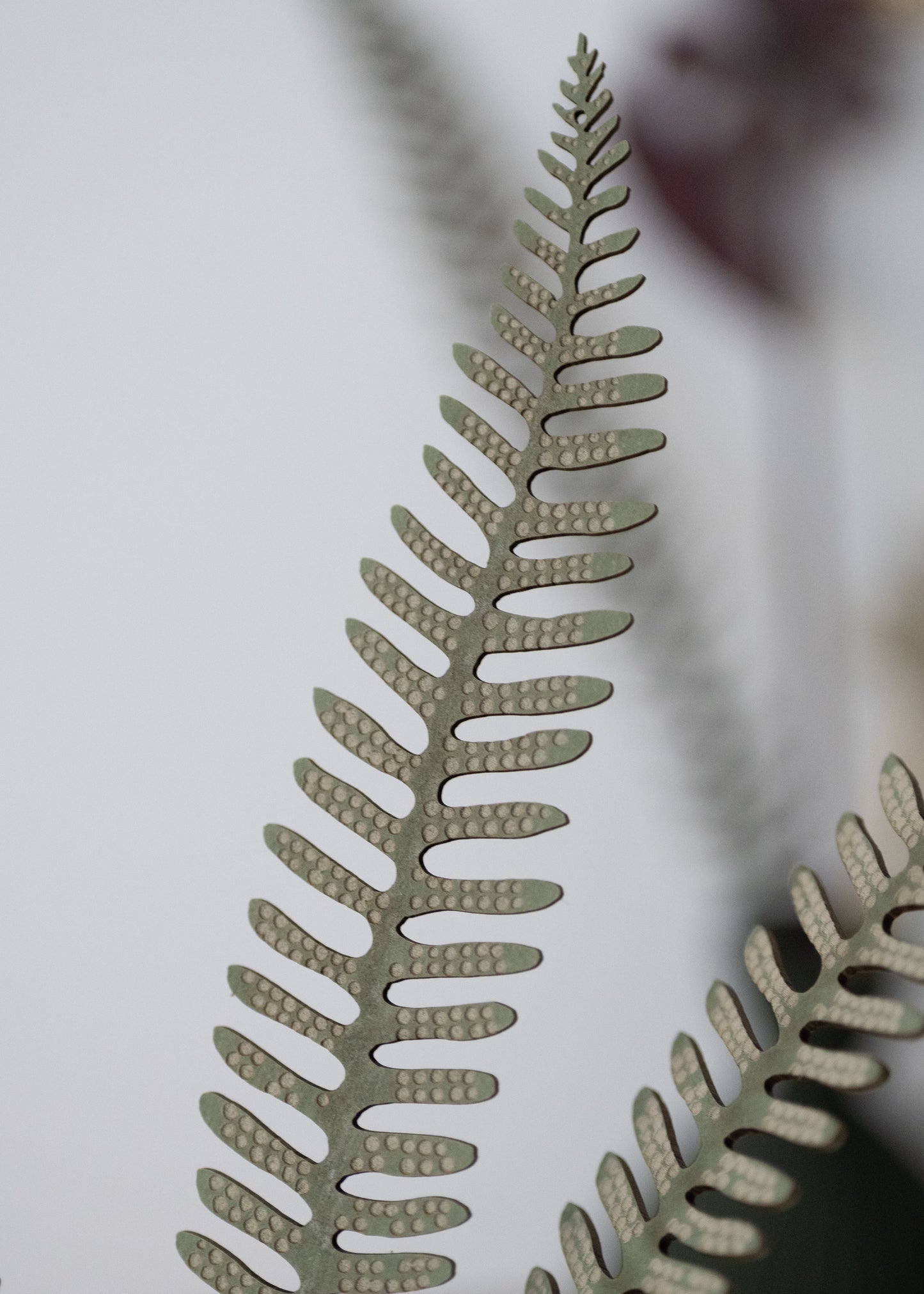pick 'n' mix fern frond