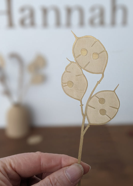 pick-n-mix honesty stem