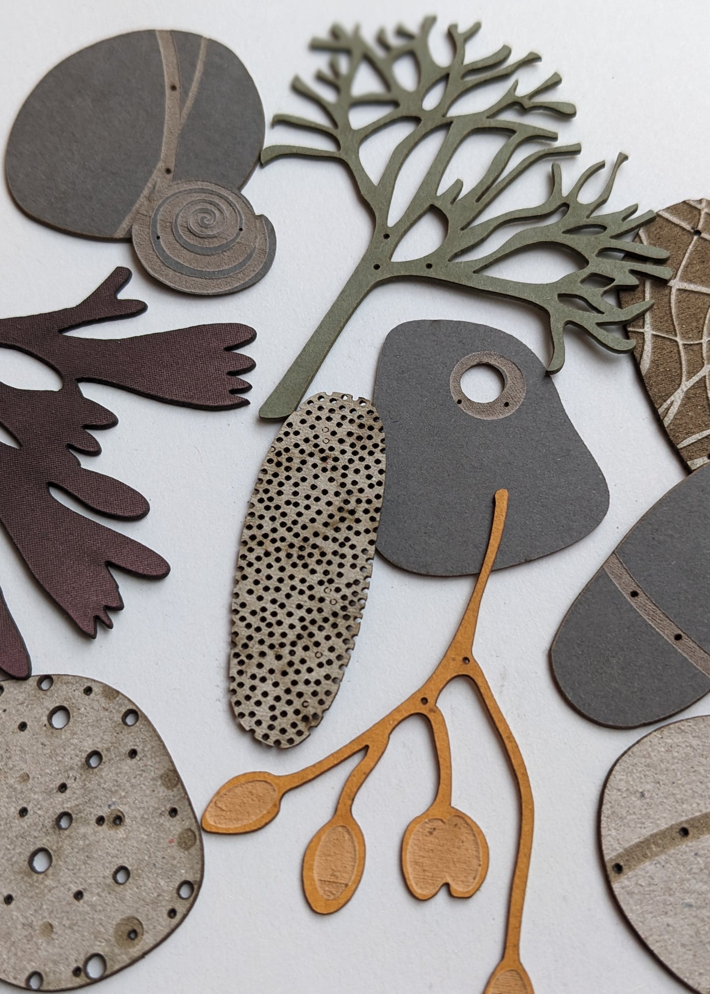 a large collection of paper pebbles & seaweed