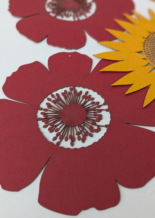 A Poppy Anemone for Palestine