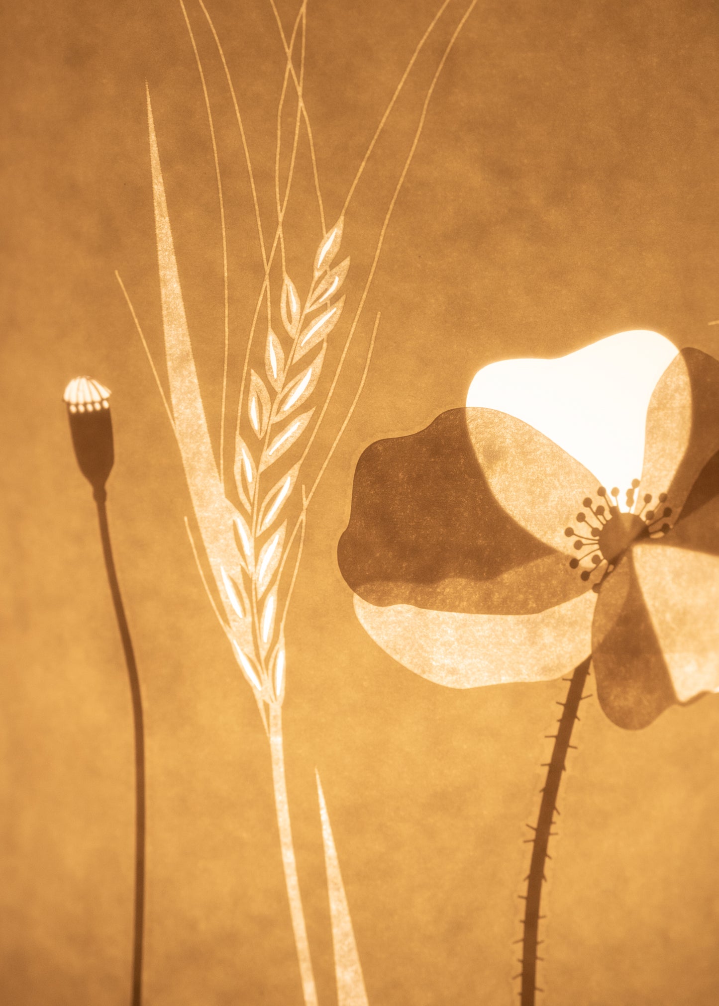 Large Field Poppy Table Lamp