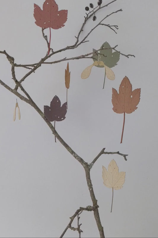 A garland of sycamore leaves