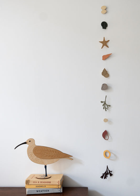 a collection of seashells and beach treasures