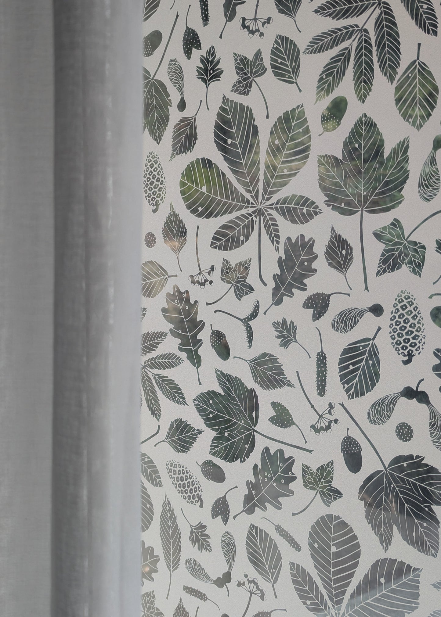 Forest Floor window film