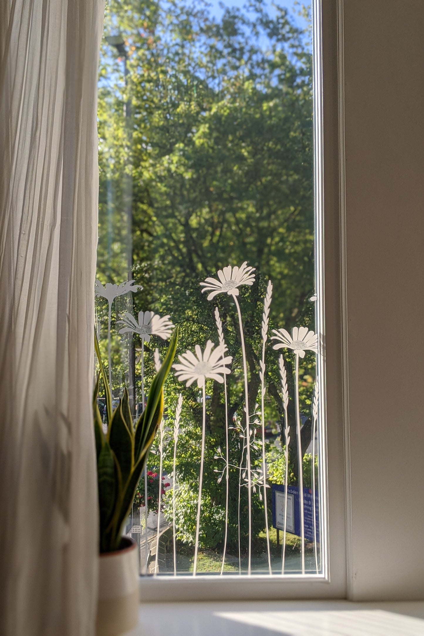 Tall Daisies Window Film