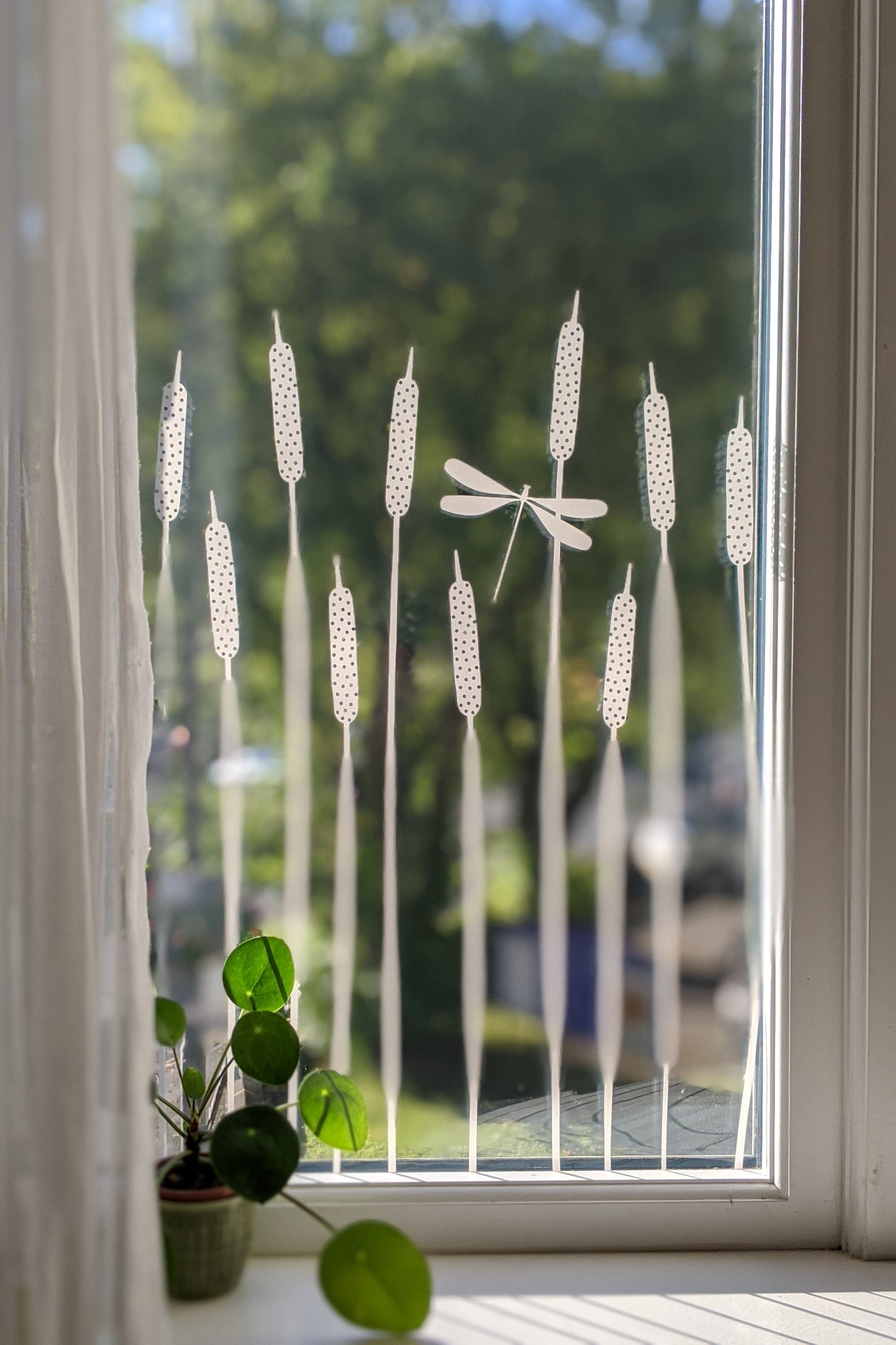 Dragonfly Window Film