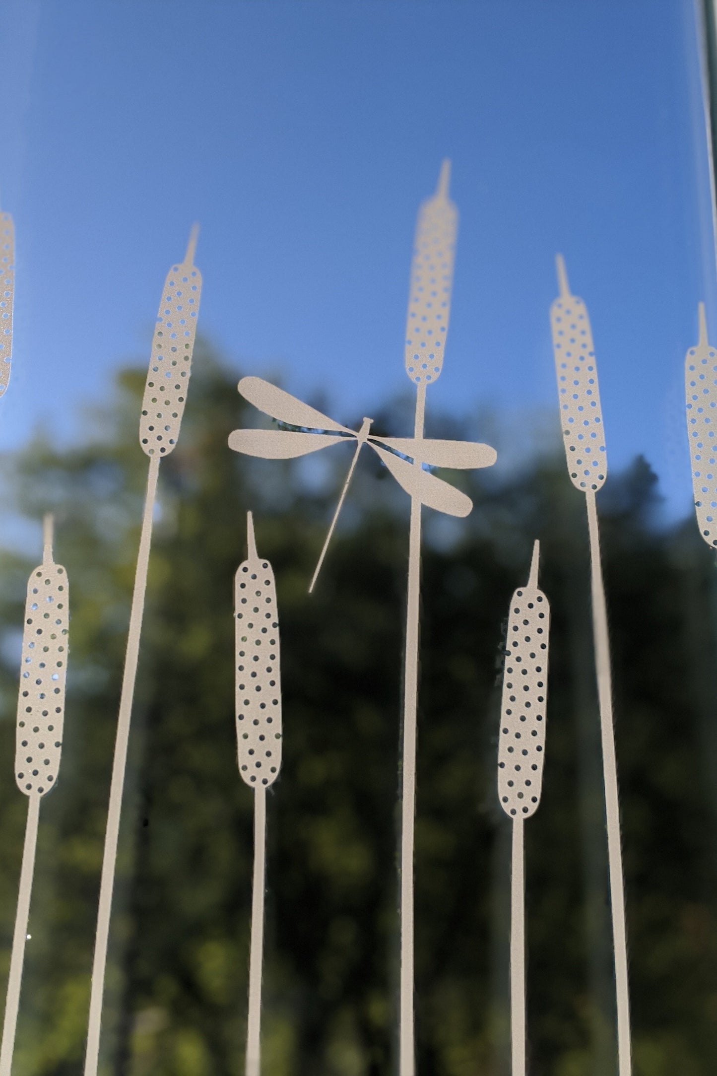 Dragonfly Window Film