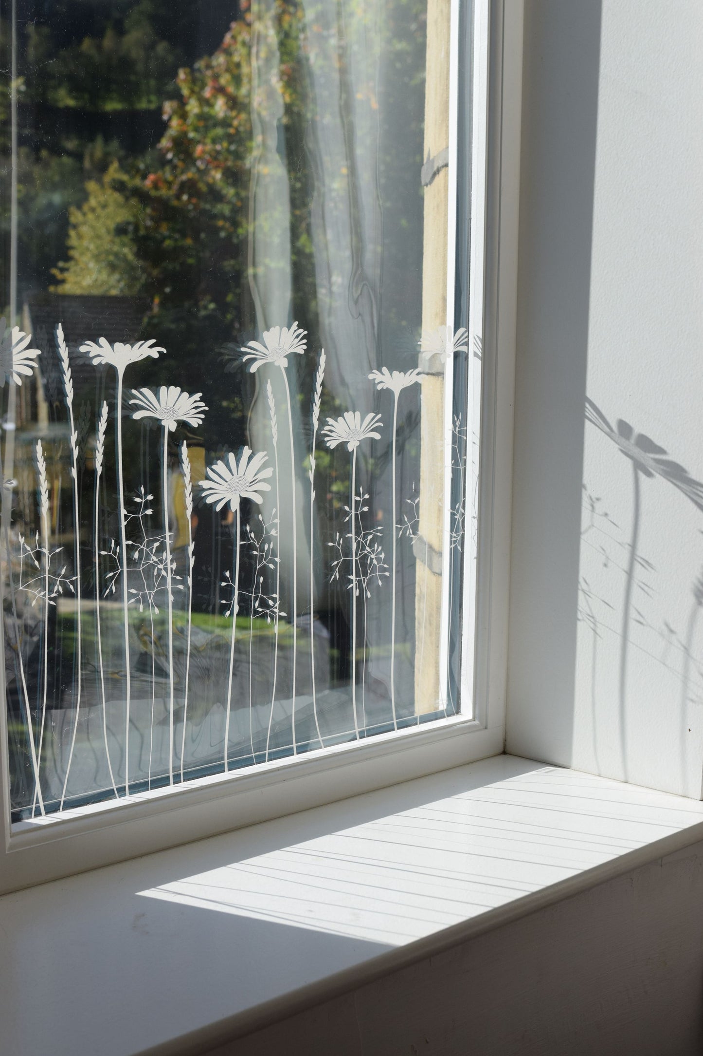 Daisy Meadow's Edge Window Film