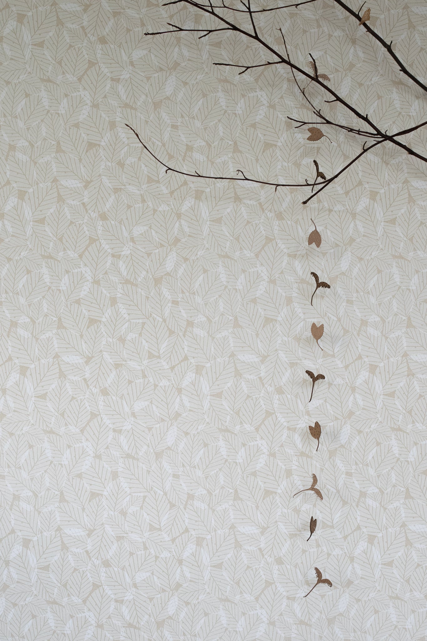 Beech Leaves Wallpaper in Kraft