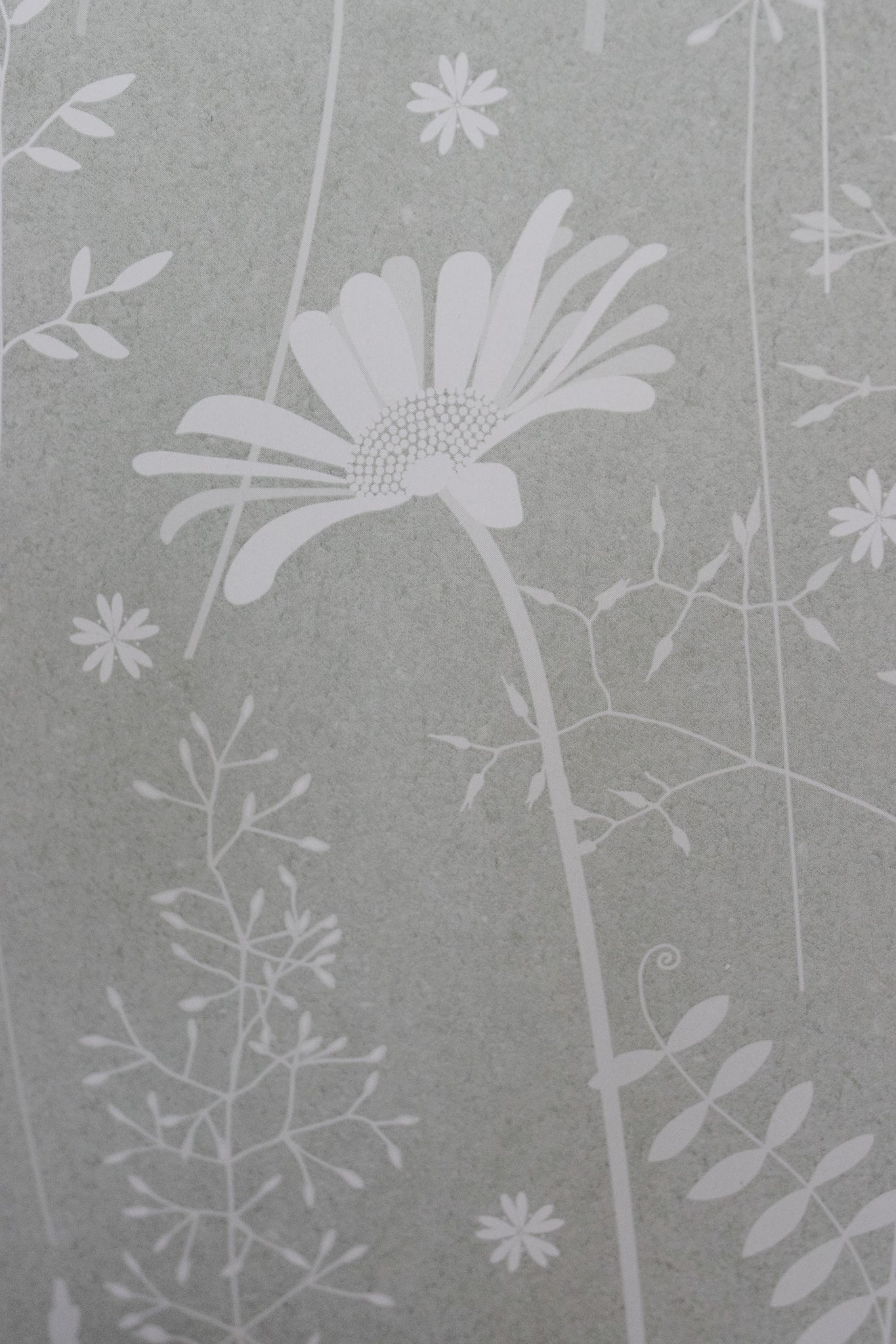 Daisy Meadow Wallpaper in Sage
