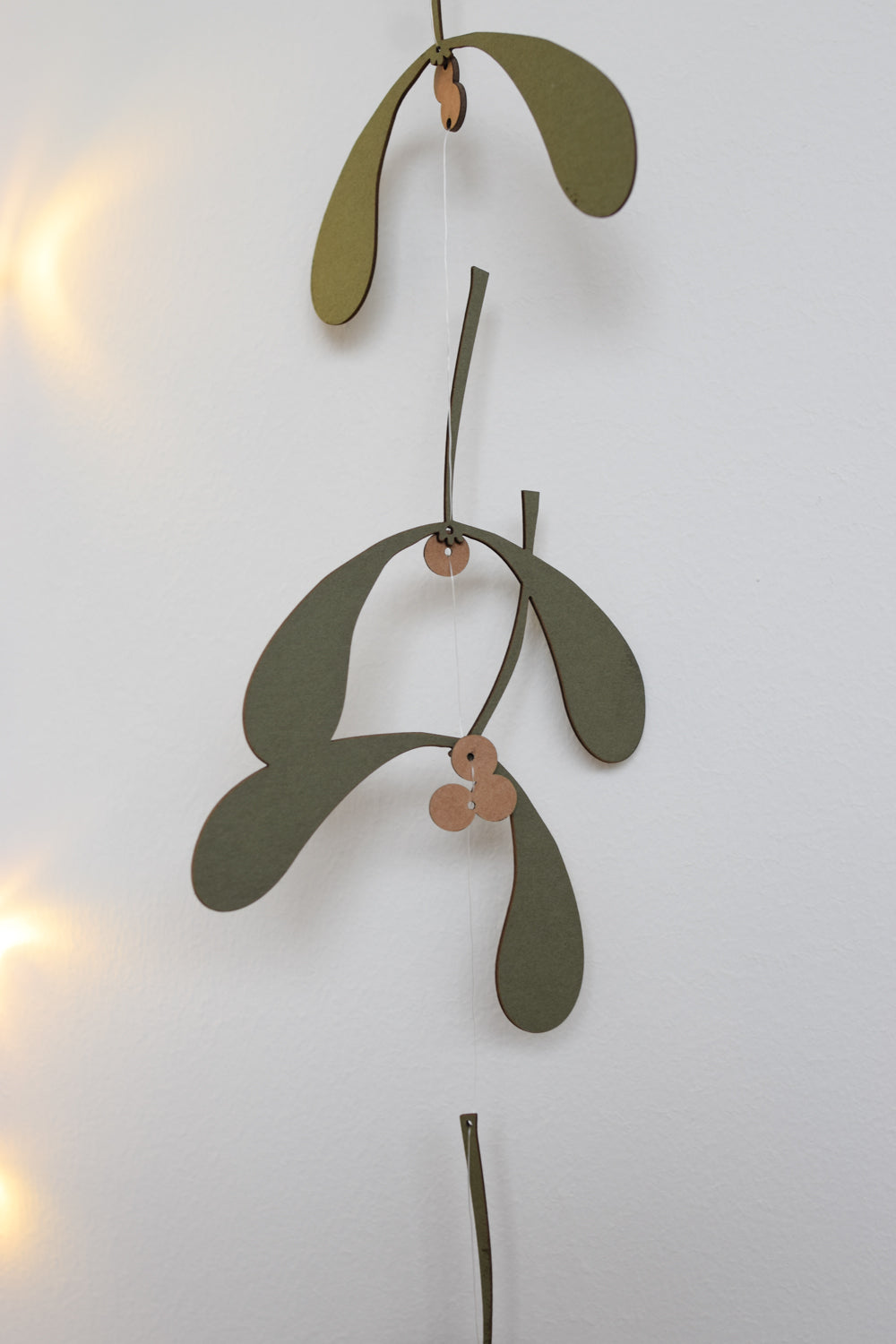 Winter treasures: Mistletoe