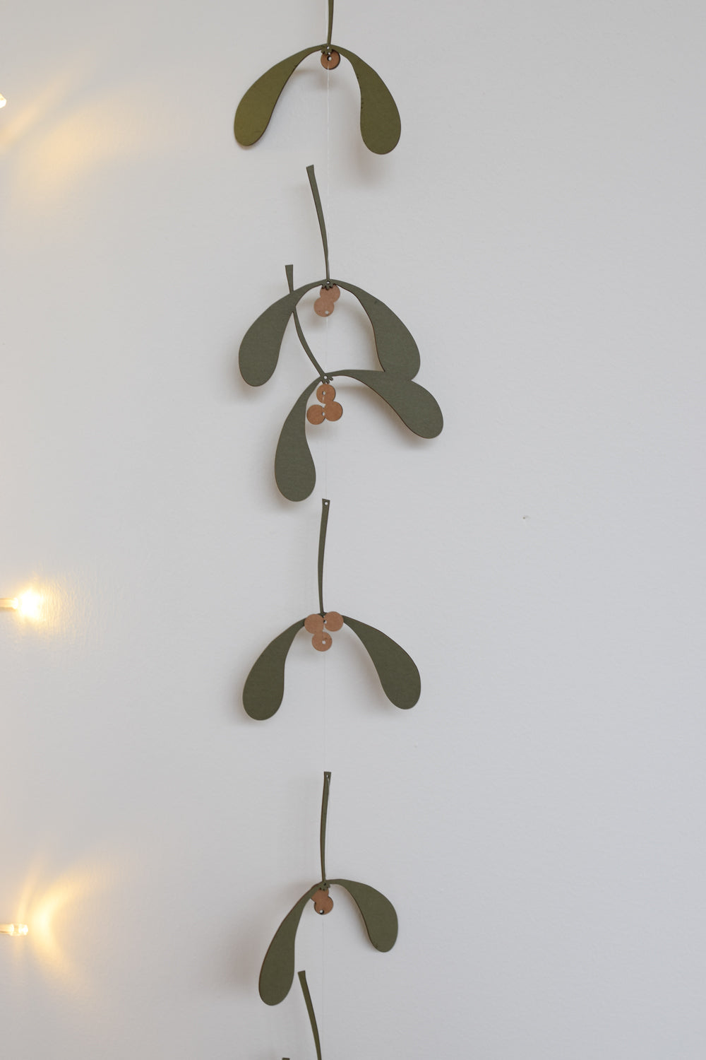 Winter treasures: Mistletoe