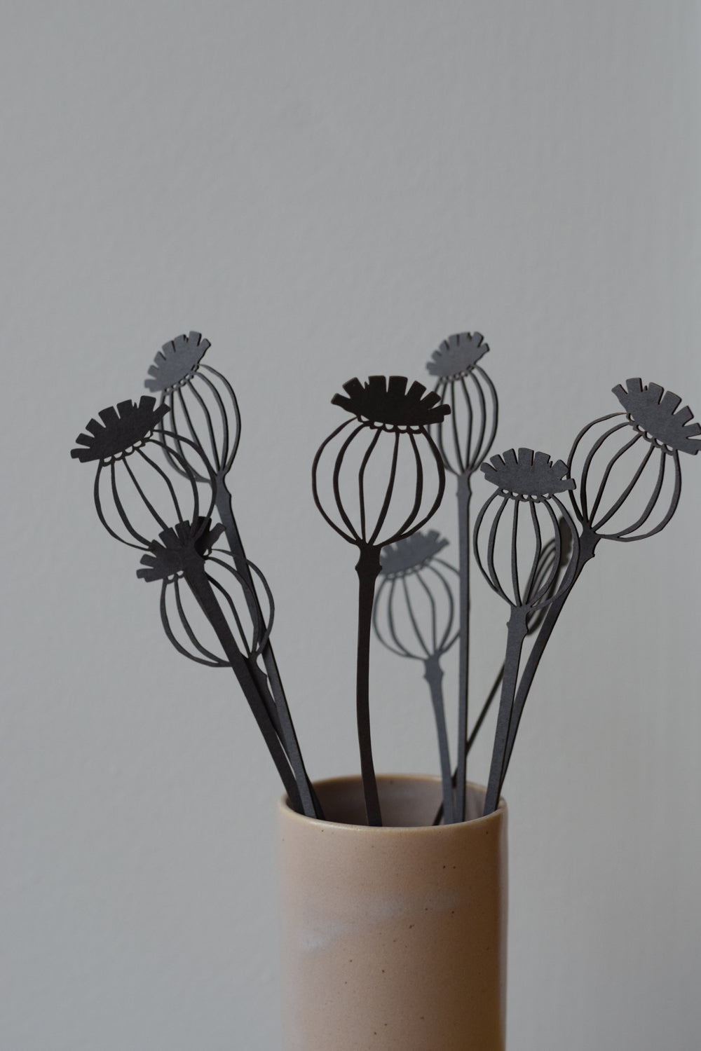 A bunch of Poppy Seed Heads