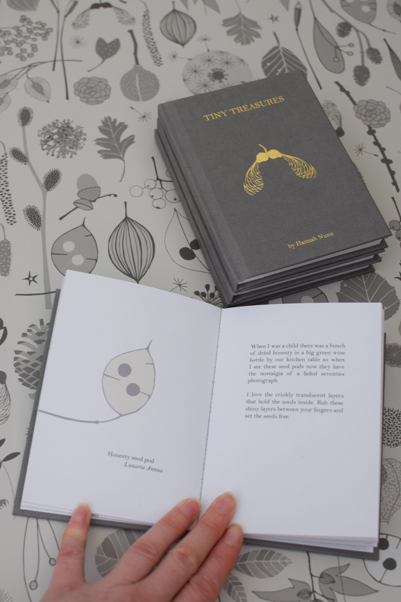 Tiny Treasures Book